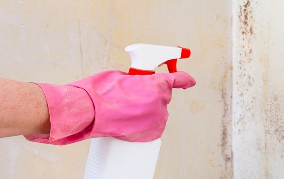 ¿CÓMO TRATAR LOS PROBLEMAS DE HUMEDAD ANTES DE APLICAR REVEAR?